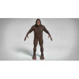 3D Bigfoot